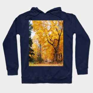 Autumn Path Hoodie